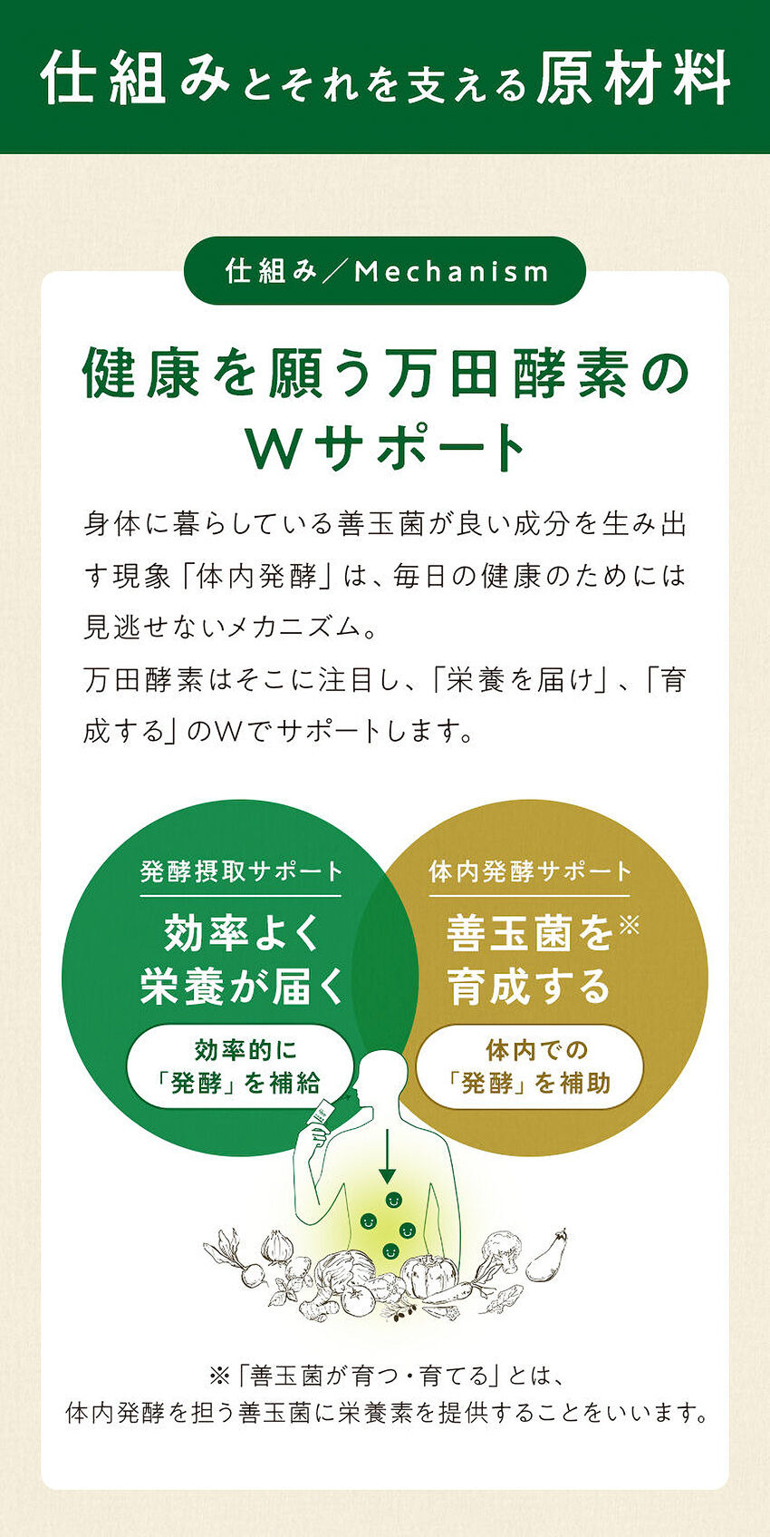 ★ 万田酵素 プラス温 ★ 31包×２袋＋８包＋２袋（計78包）送料無料 公式】【約1ヵ月分1000円体験セット】万田酵素プラス温 発酵しょうが