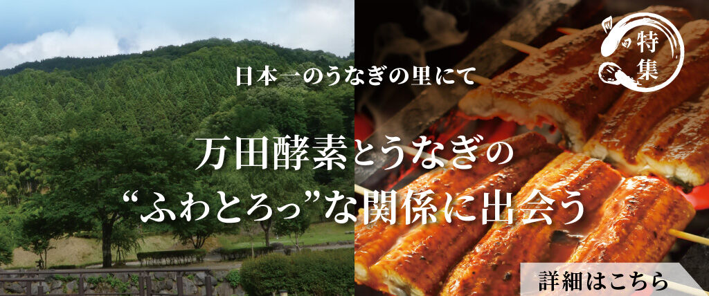 万田酵素とうなぎのふわとろっな関係に出会う