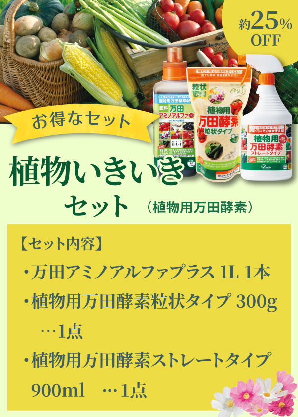 植物いきいきセット