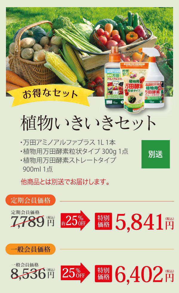 植物いきいきセット