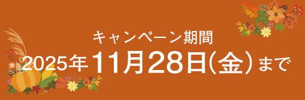 キャンペーン期間:2025年11月28日(金)まで
