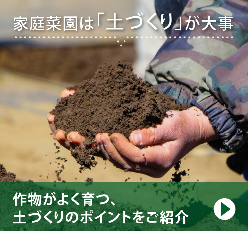家庭菜園は「土づくり」が大事