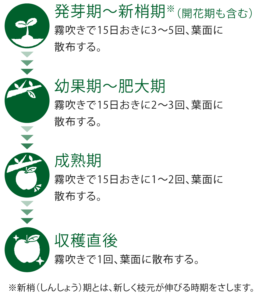 果樹での使用のタイミング