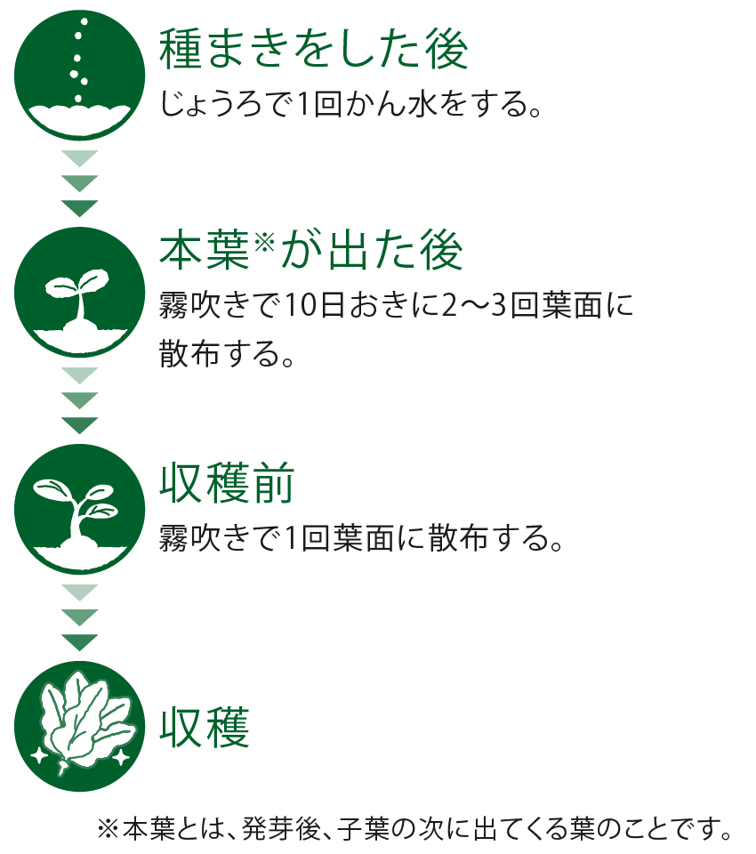 葉もの野菜での使用のタイミング