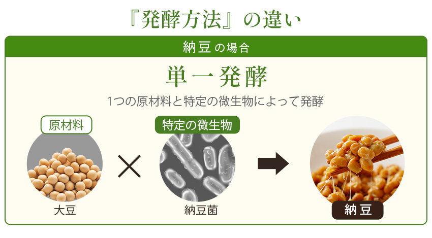 発酵方法の‗違い単一発酵画像