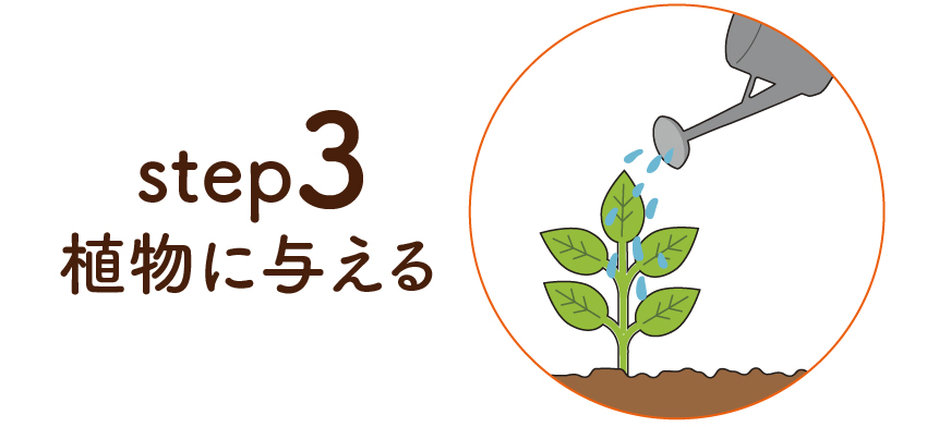 step3 植物に与える