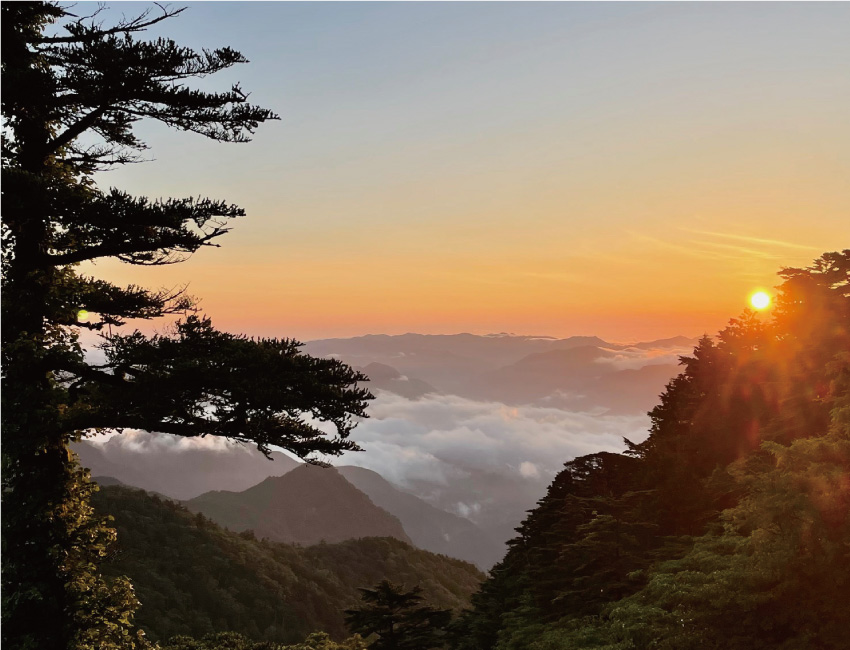 週末は山で自然に癒されています！