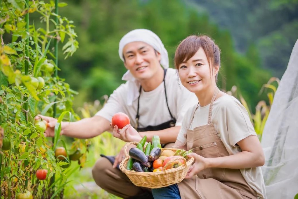 家庭菜園に勤しむ夫婦