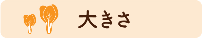 大きさ