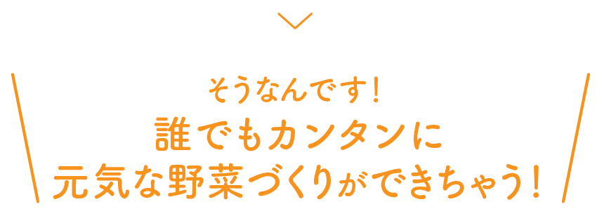 そうなんです！誰でもカンタンに元気な野菜づくりができちゃう！