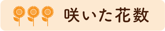 咲いた花数