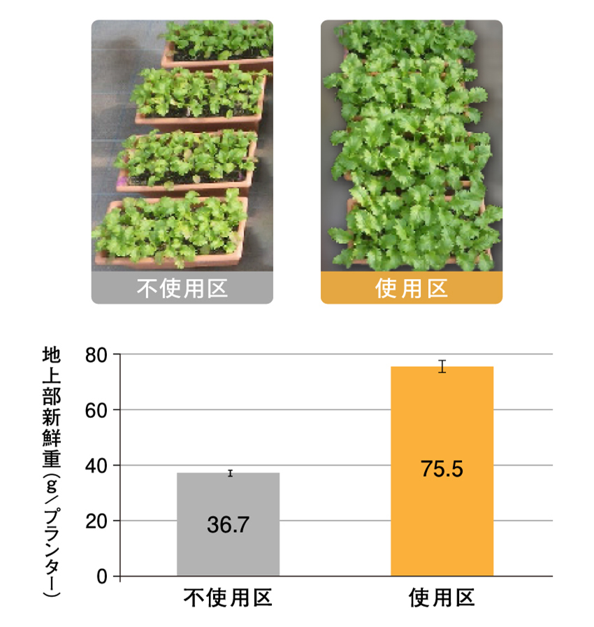 ベビーリーフ比較