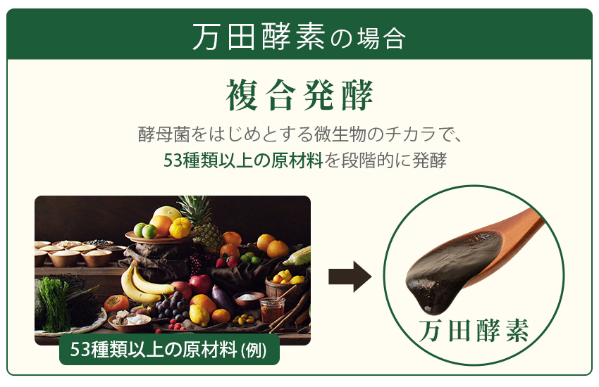 発酵方法の違い‗複合発酵画像
