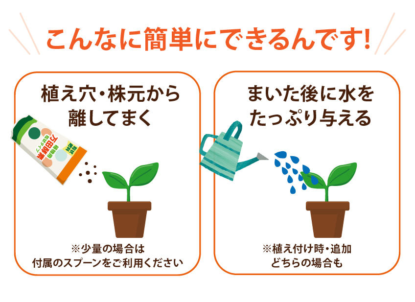 こんなに簡単にできるんです!植え穴・株元から離してまく。まいた後に水をたっぷり与える。