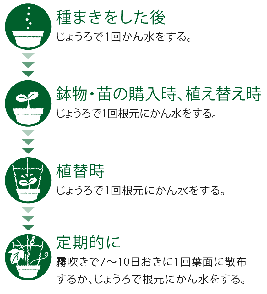 花や観葉植物での使用のタイミング