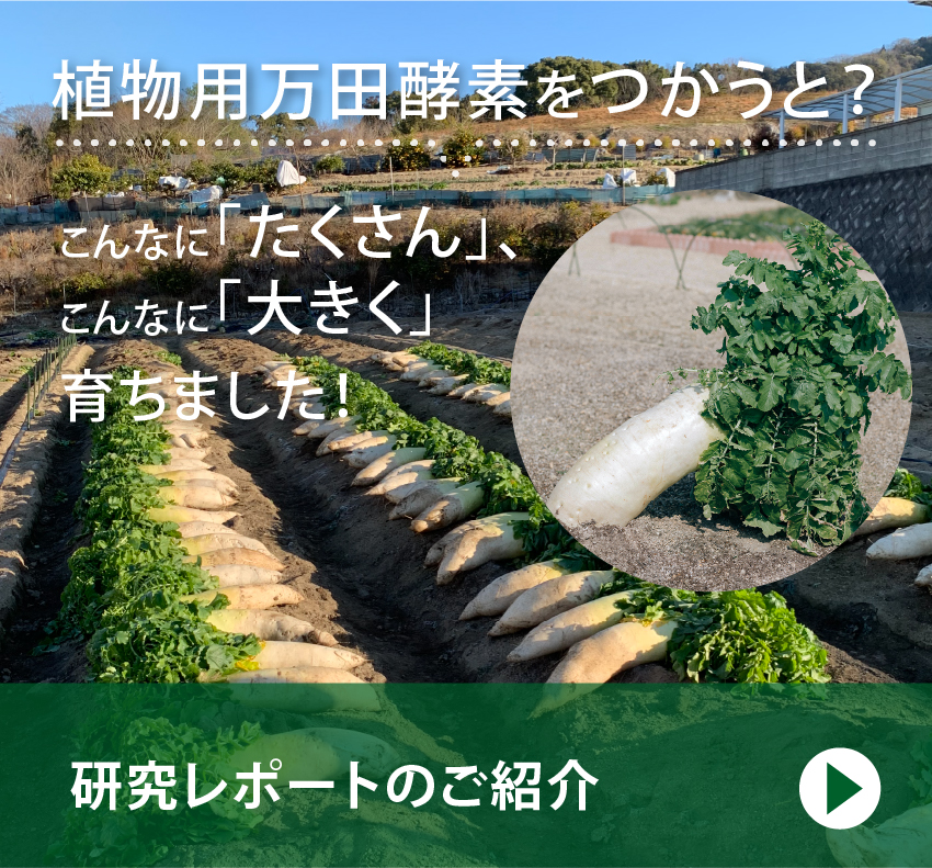 植物用万田酵素をつかうと？
