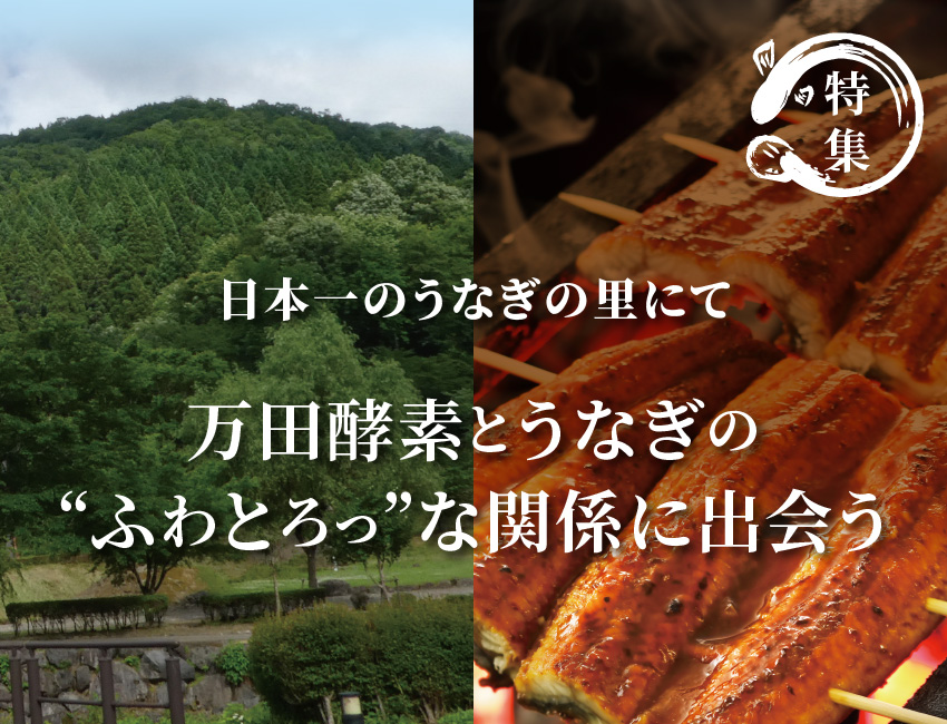 万田酵素とうなぎのふわとろっな関係に出会う