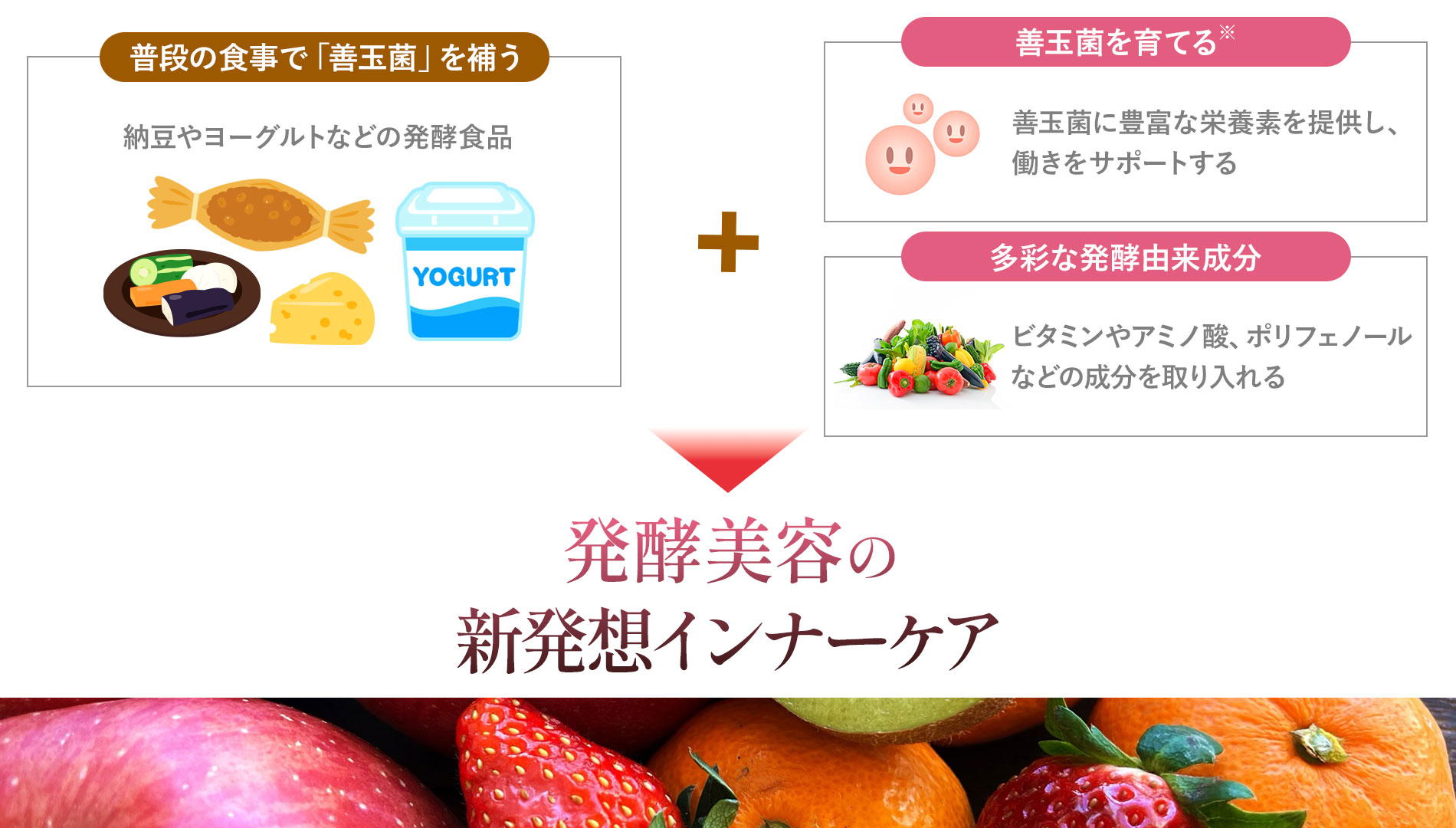 発酵美容の新発想インナーケア