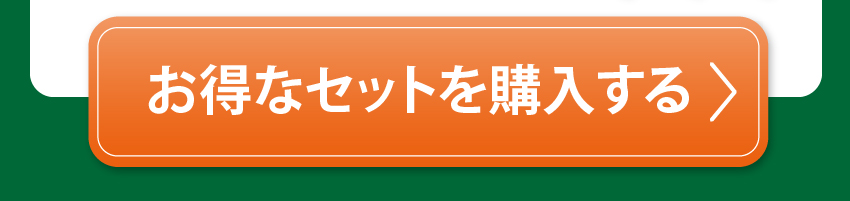 お得に購入する