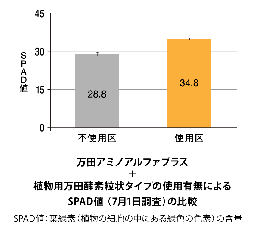 葉の色つきもよくなりました
