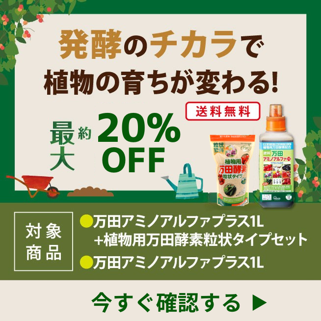 植物用万田酵素