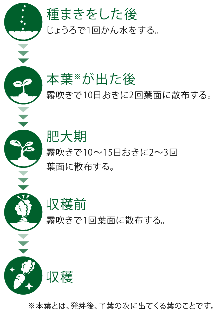 根もの野菜での使用のタイミング