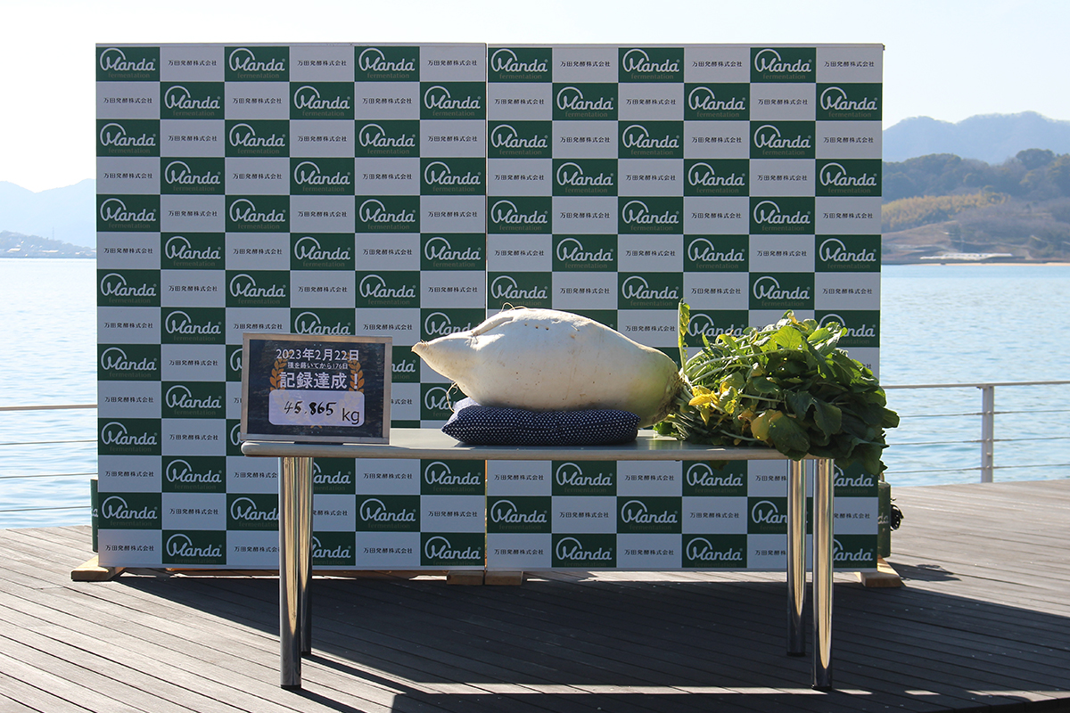 世界で最も重い大根