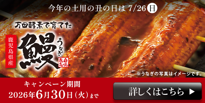 6/30まで【約20％OFF！】まとめ買いがお得！万田酵素で育てたこだわりのうなぎ