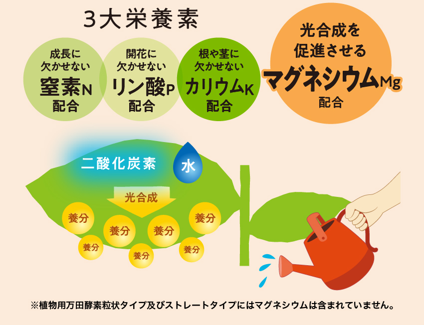 ３大栄養素 成長に欠かせない窒素N配合 開花に欠かせないリン酸P配合 根や茎に欠かせないカリウムK配合 光合成を促進させるマグネシウムMg配合 ※植物用万田酵素粒状タイプ及びストレートタイプにはマグネシウムは含まれていません。