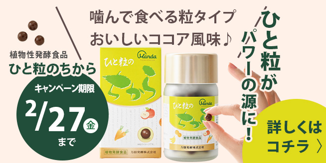 【最大50%OFF!】ひと粒がパワーの源に!!!「ひと粒のちから」