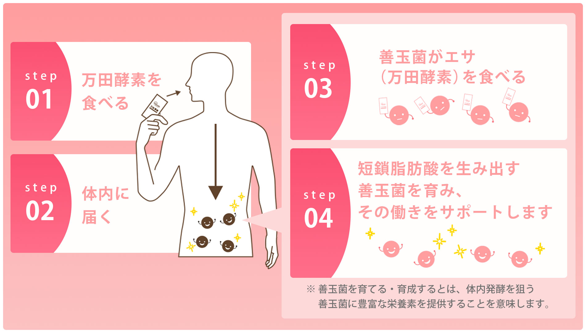 発酵美容のインナーケア