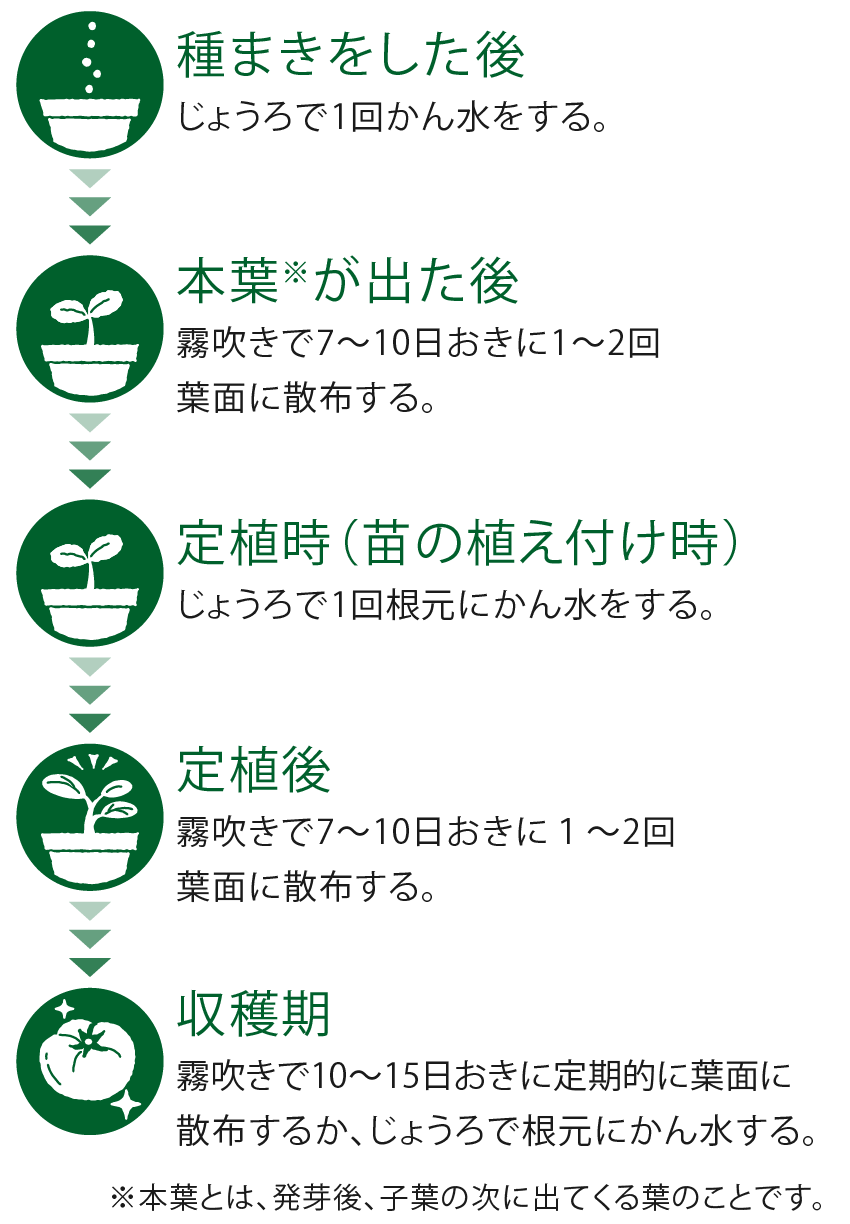 実もの野菜での使用のタイミング