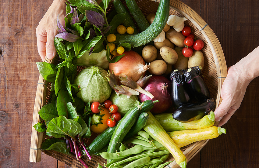 万田アミノアルファプラス野菜での使い方