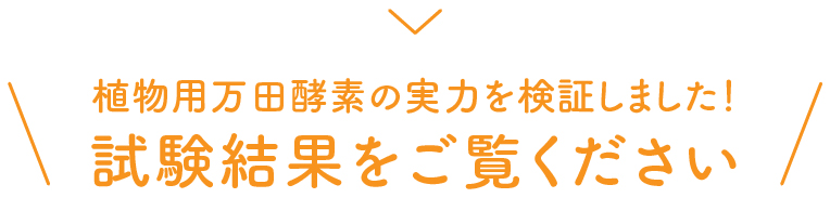 植物用万田酵素の実力を検証しました！試験結果をご覧ください