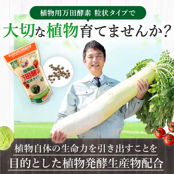 大切な植物を育てませんか