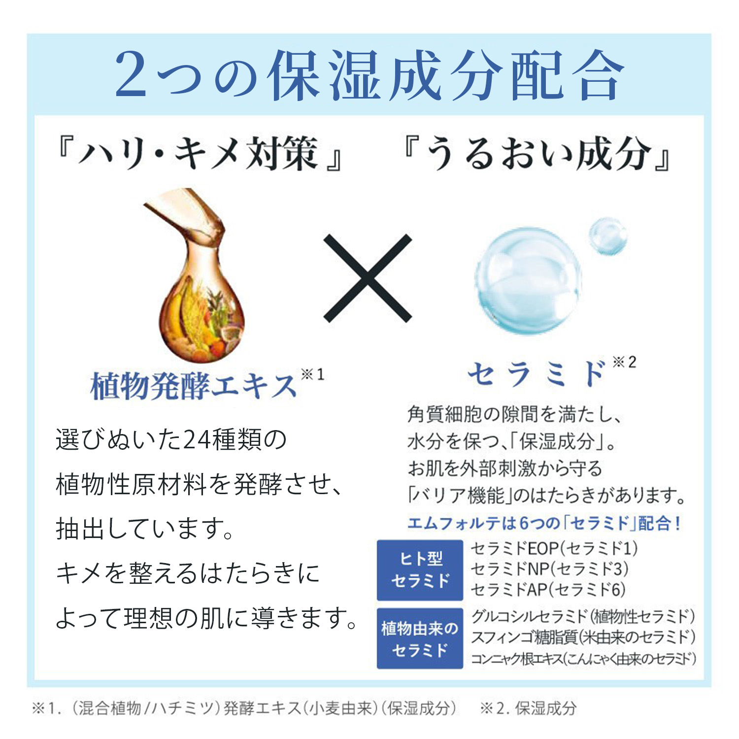 エムフォルテ スペシャル4点セット