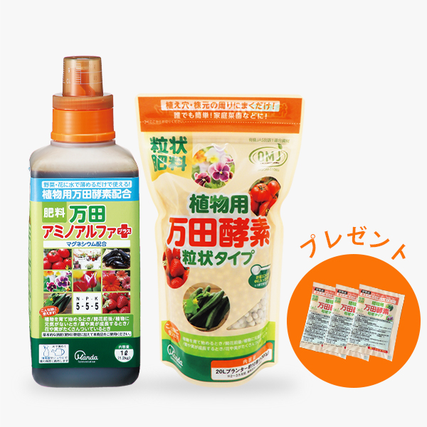 【特別価格】万田アミノアルファプラス 1L+植物用万田酵素粒状タイプ300g