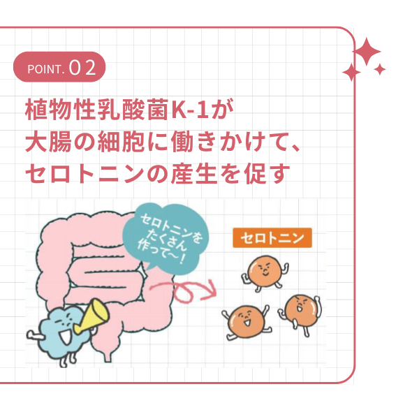 つるんとライフ商品特徴説明画像2