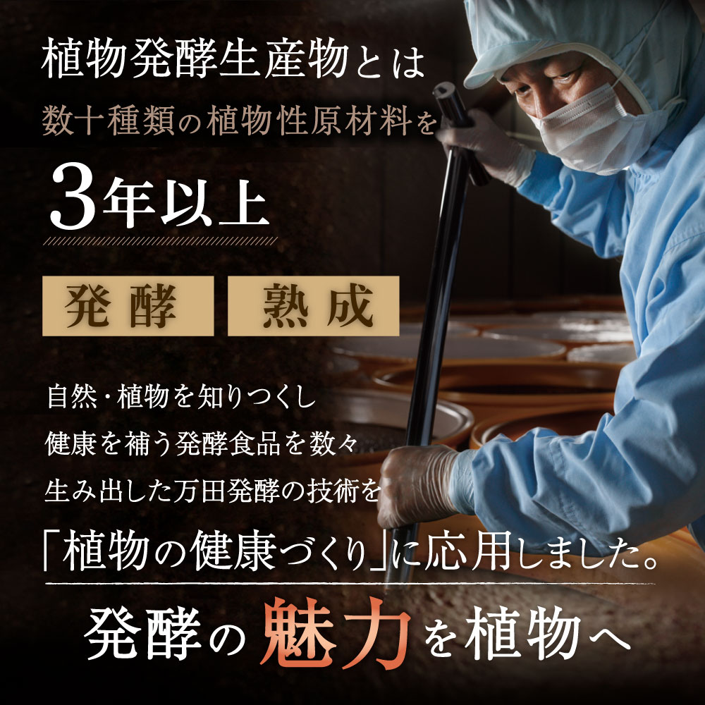 植物発酵生産物とは