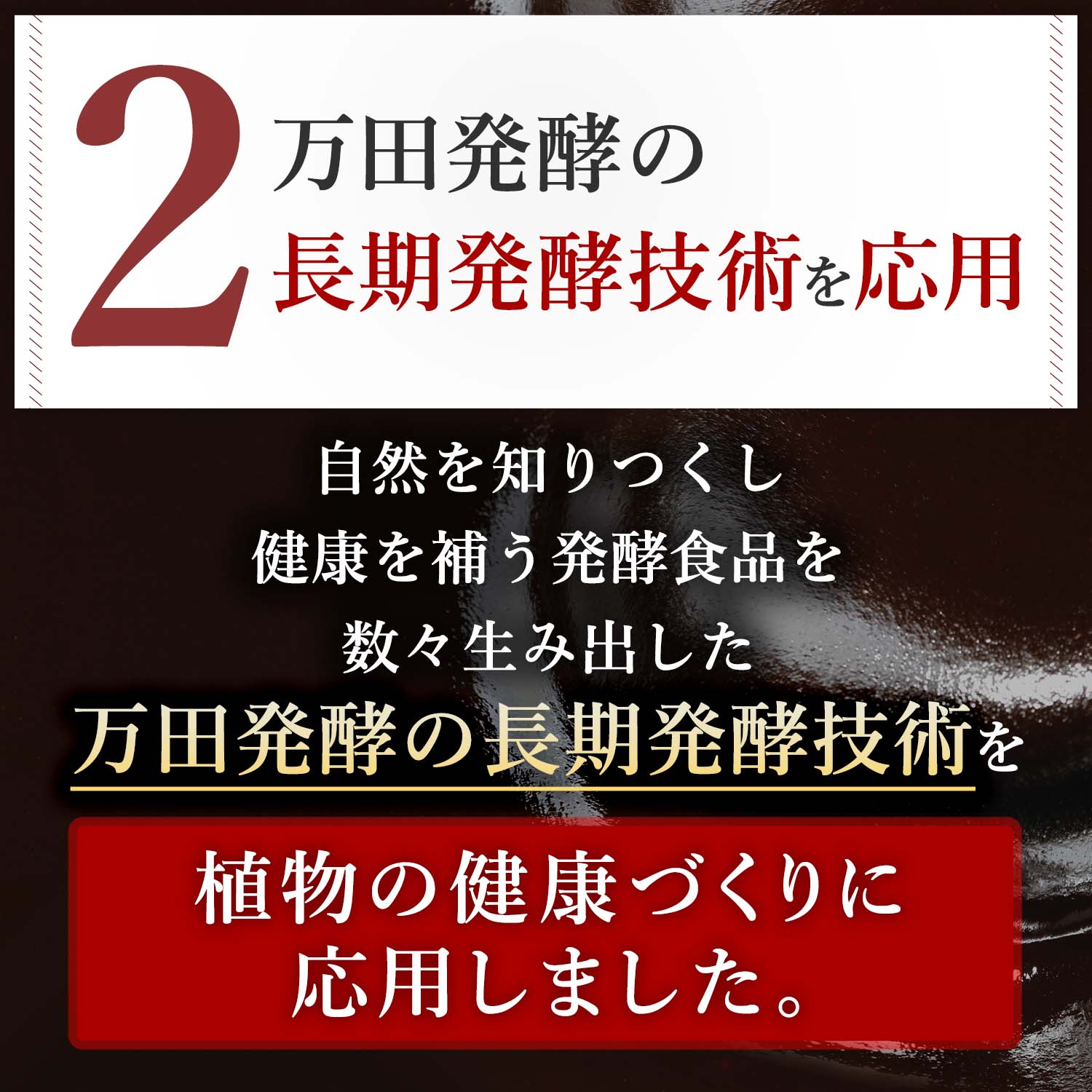万田アミノアルファプラス ＜1L＞