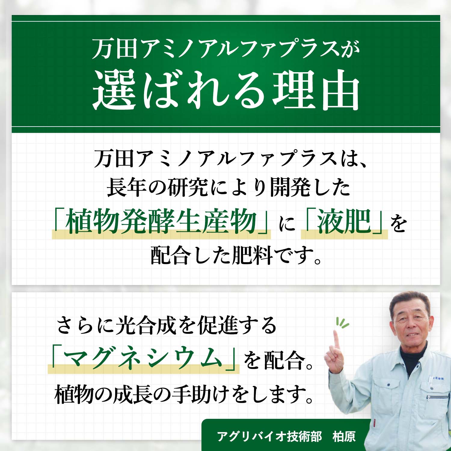 万田アミノアルファプラス ＜1L＞