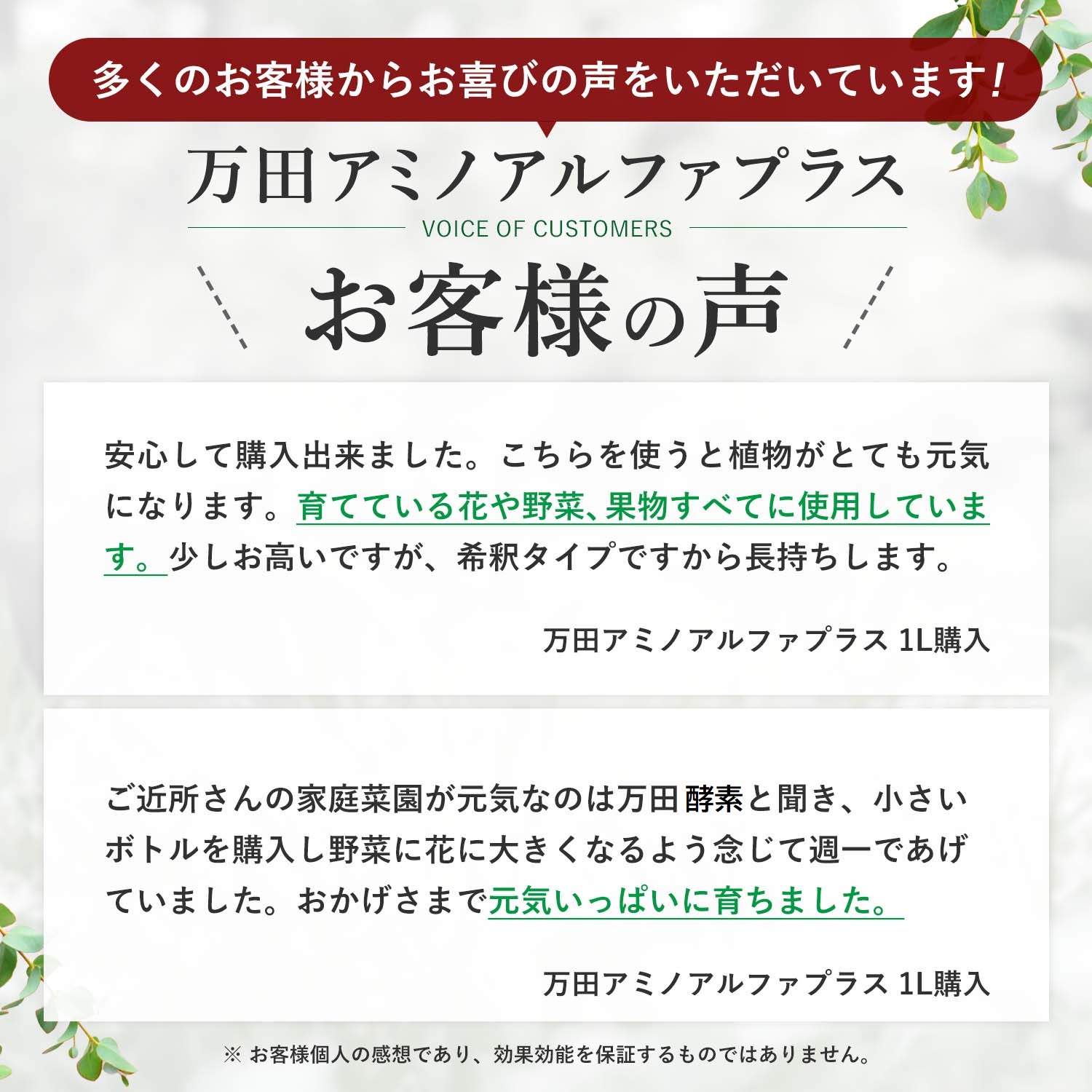 お客様の声