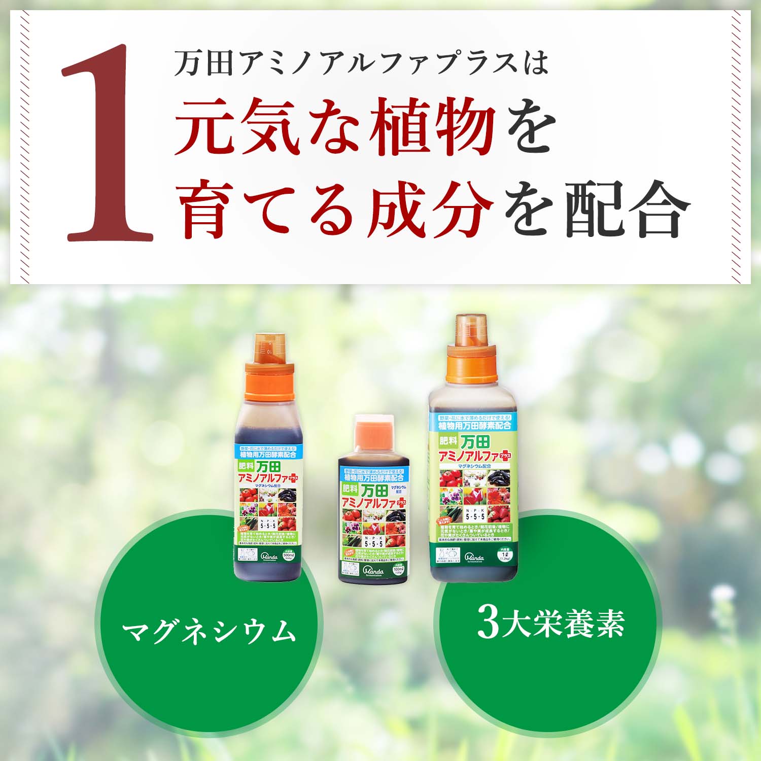 元気な植物を育てる成分配合