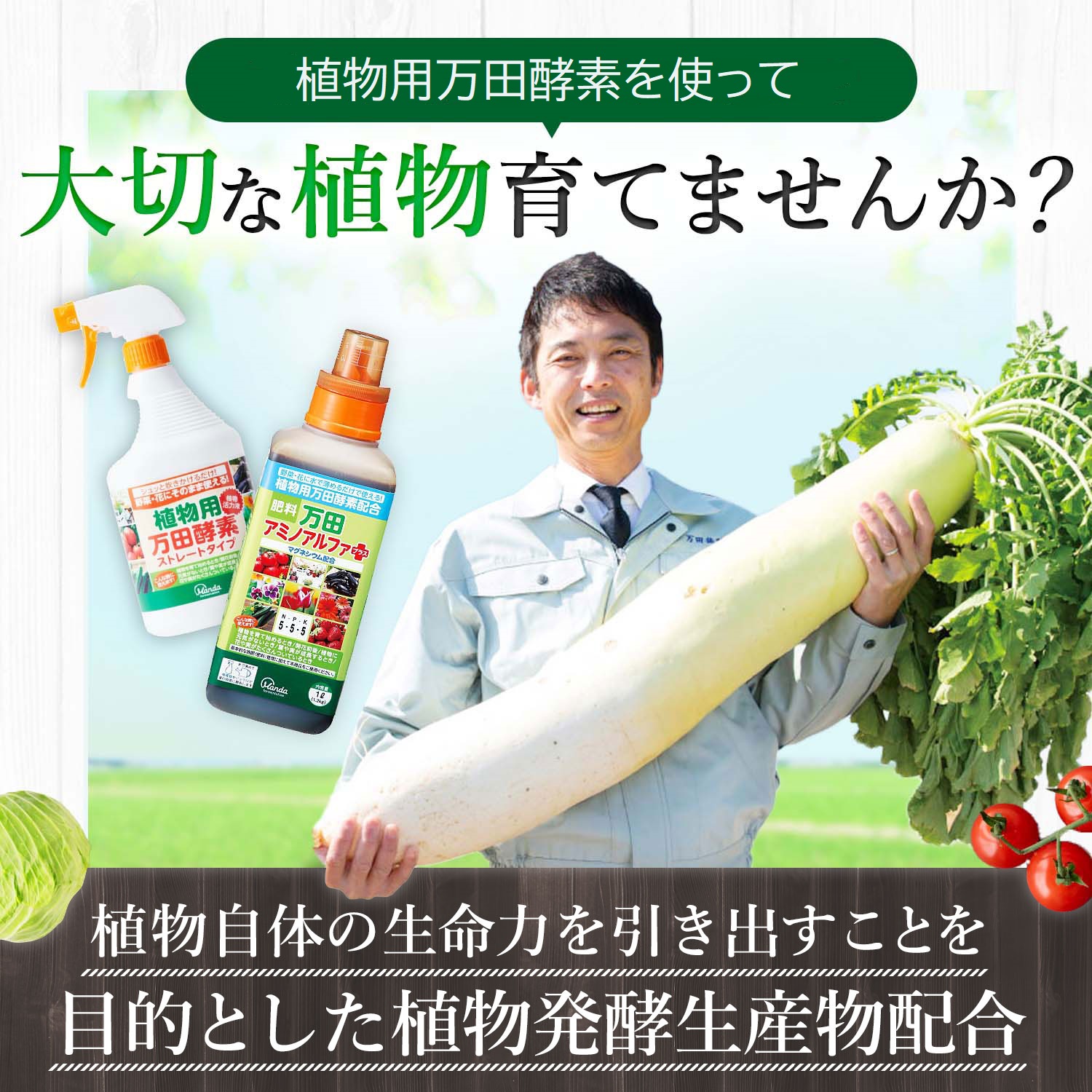 植物用万田酵素ストレートタイプ