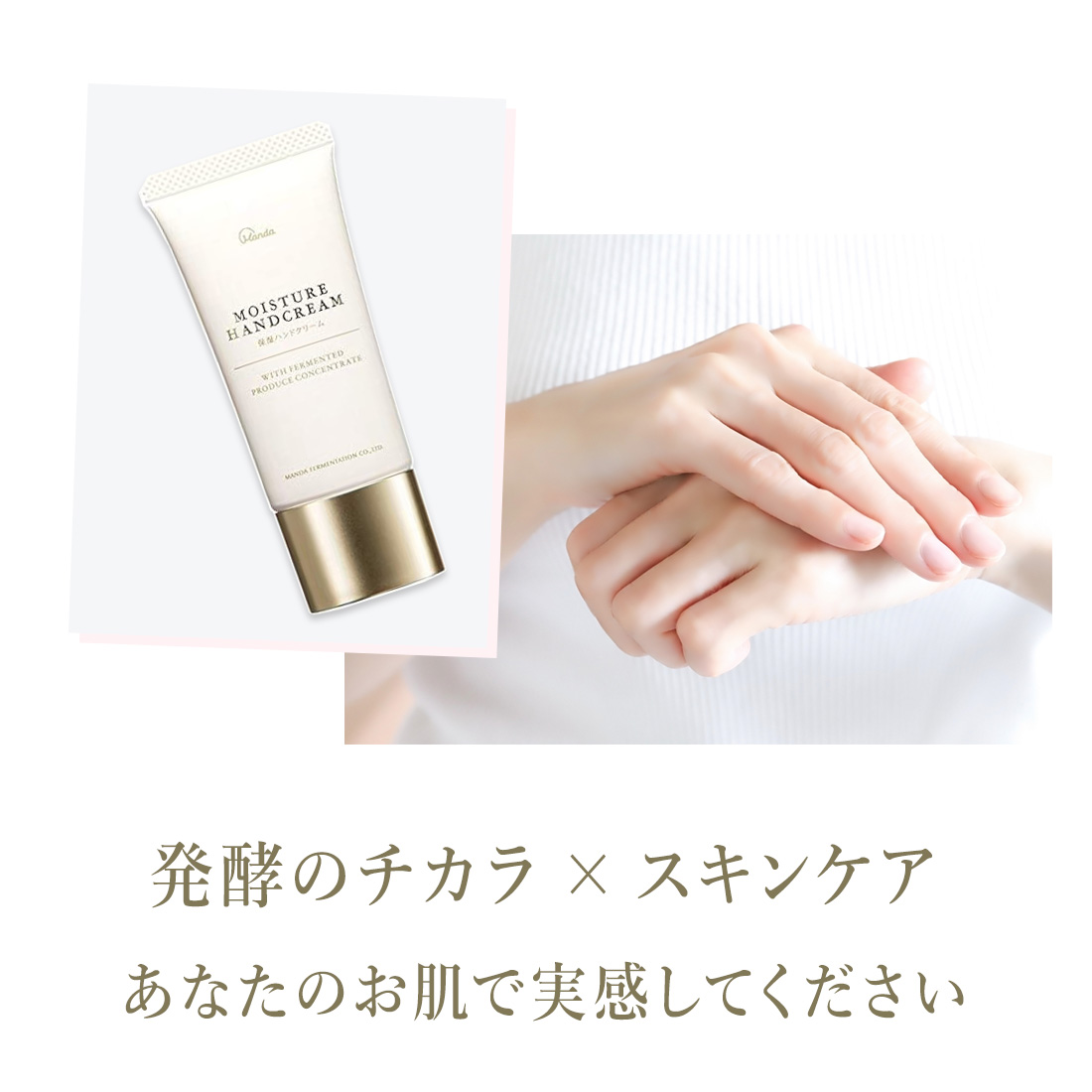 発酵のチカラ×スキンケア