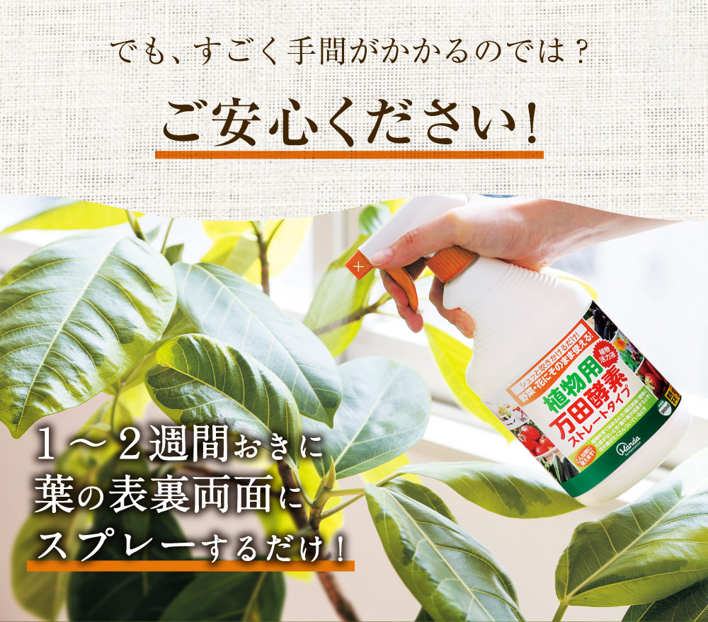 植物用万田酵素ストレートタイプ