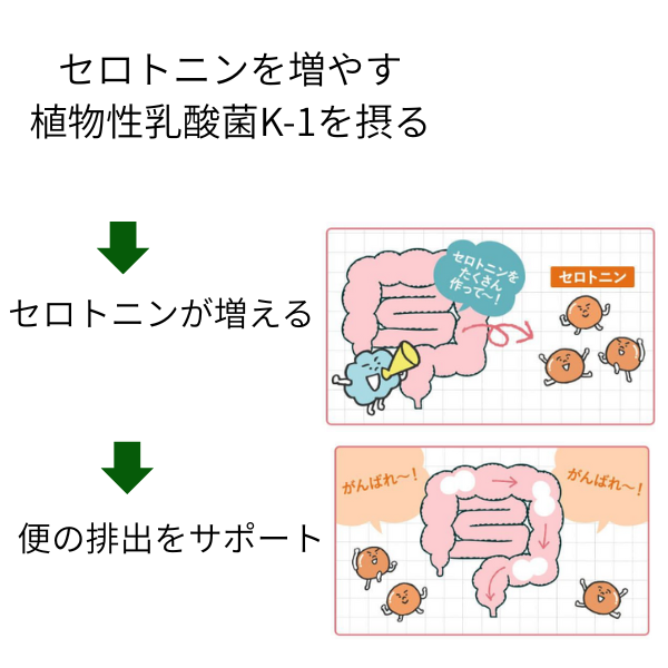 つるんとライフ商品特徴説明画像3