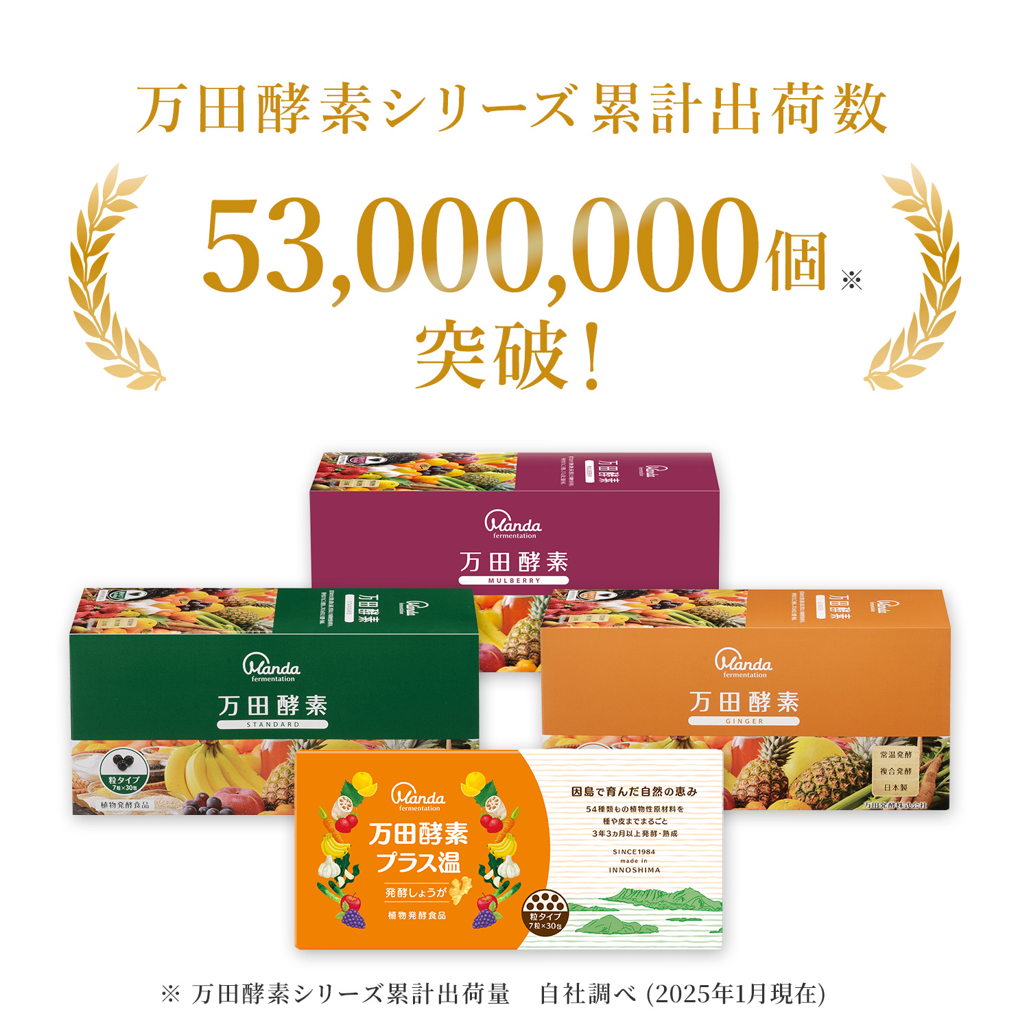 公式】万田酵素 GINGER(ジンジャー) 粒(分包)タイプ｜万田発酵