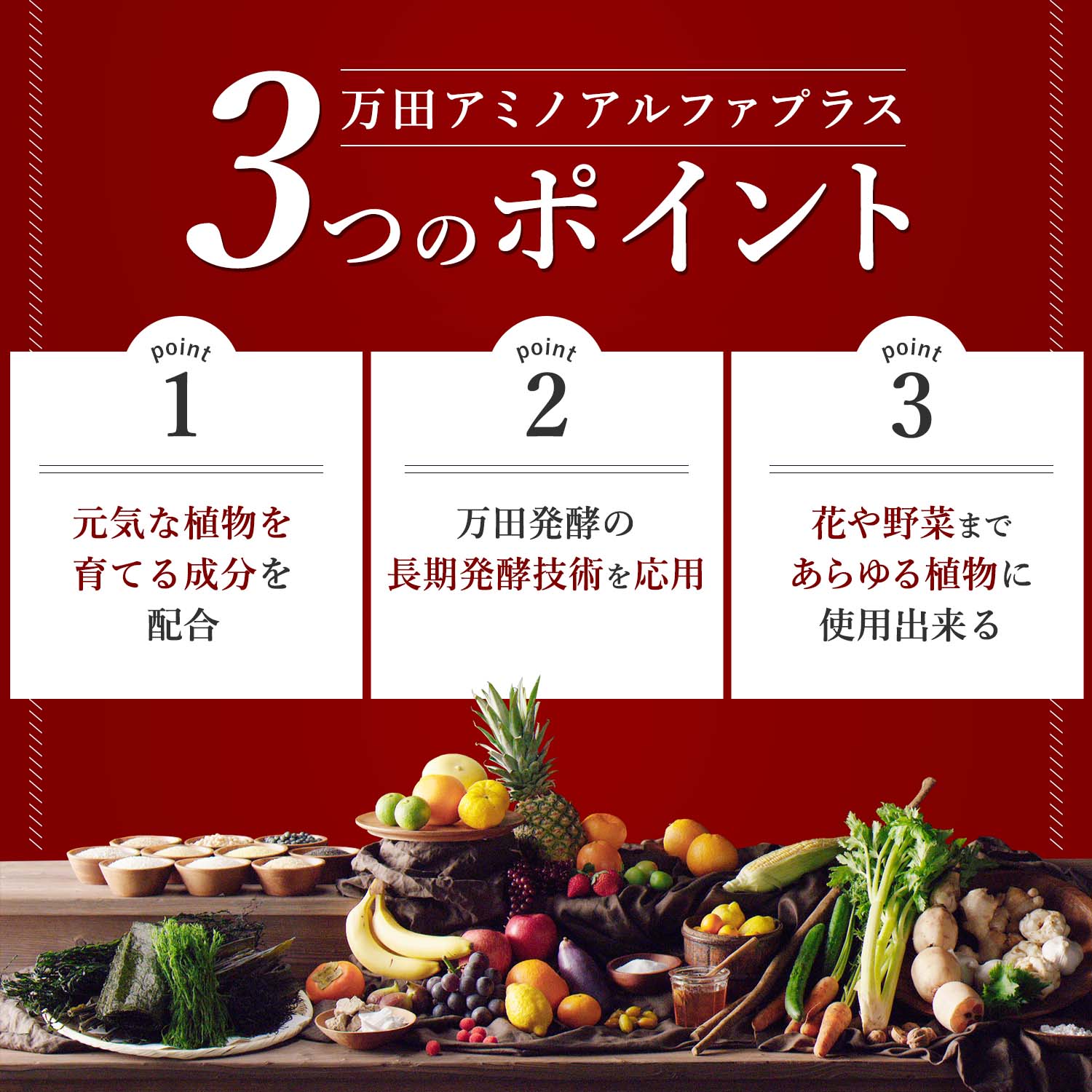 3つのポイント