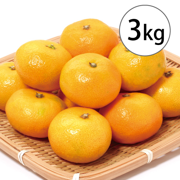 広島県瀬戸田の早生みかん（3kg）